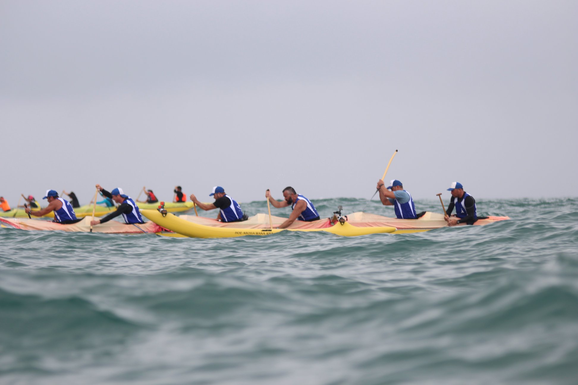 M2M Results and event report available on the event page