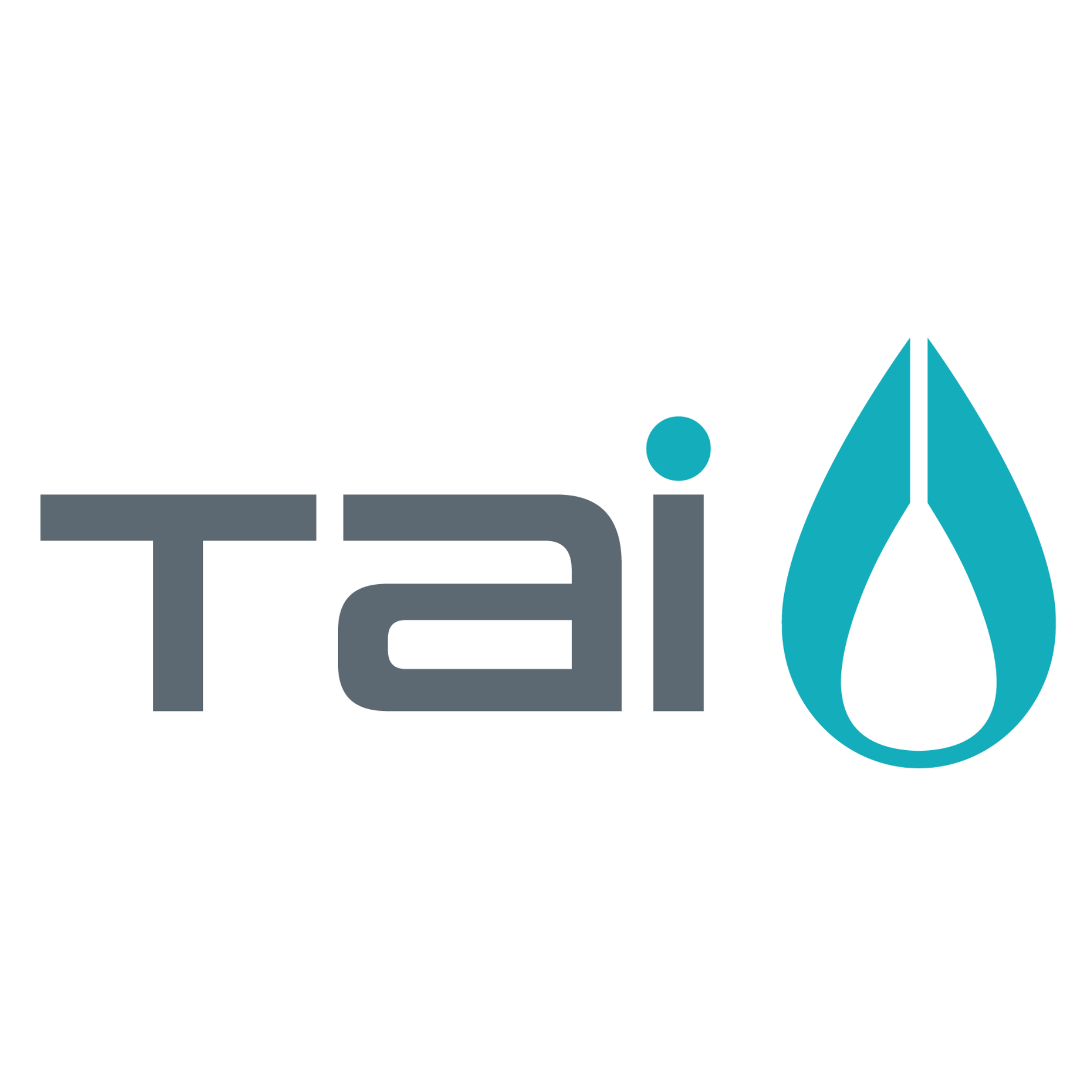 Tai Paddles