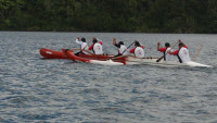 Roto Hoe Rotoma 184.JPG