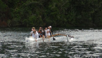 Roto Hoe Rotoma 208.JPG
