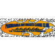 Results - Pakuranga 10Km
