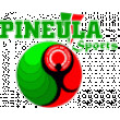Results - AROCA 10k Series - Race2