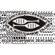 Results - TTPCA 10km Series