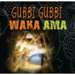 Trans Tasman Gubbi Gubbi Waka Ama 2012 Survey 