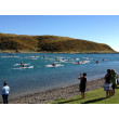 New Zealand Post 2012 Long Distance Nationals - Results and Pictures
