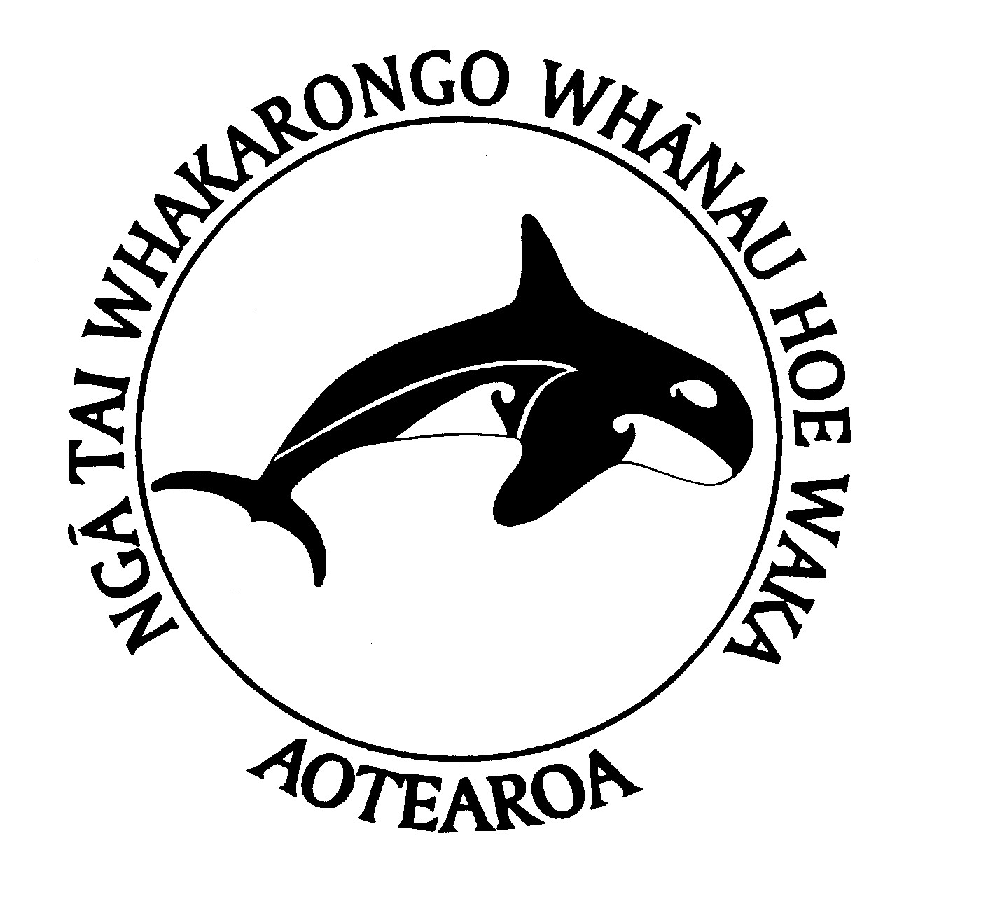 Waikato Awa Race Results 2014