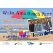 Three Houses Down - Waka Ama Beach Party 2016