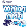 Extension: 2018 Te Wananga o Aotearoa Waka Ama Sprint Nationals 