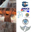 Waka Ama NZ Aukaha Project