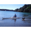 The return of the Sea Horse w1 waka