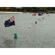 Gubbi Gubbi 2012