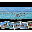 Photos - Omokoroa Dash