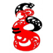 AROCA Winter Series event #1