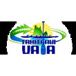 Facing the world's best at the Tahiti Nui Va'a