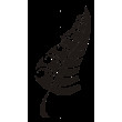 UPDATE: New Zealand Team Selections for the 2017 IVF World Distance Championship in Tahiti 