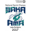 2017 Te Wānanga o Aotearoa Waka Ama Sprint Nationals - Survey
